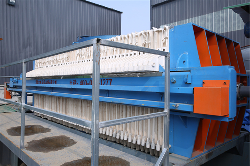 1693300565886829.jpg 7J3A8611.JPG